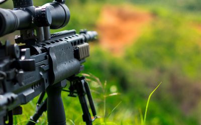Armas al alcance de todos