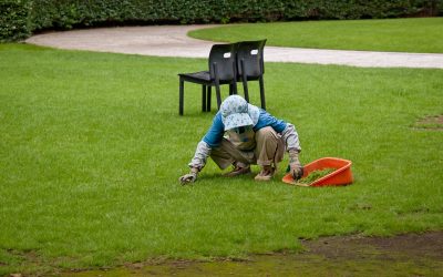 Jardineros del mundo