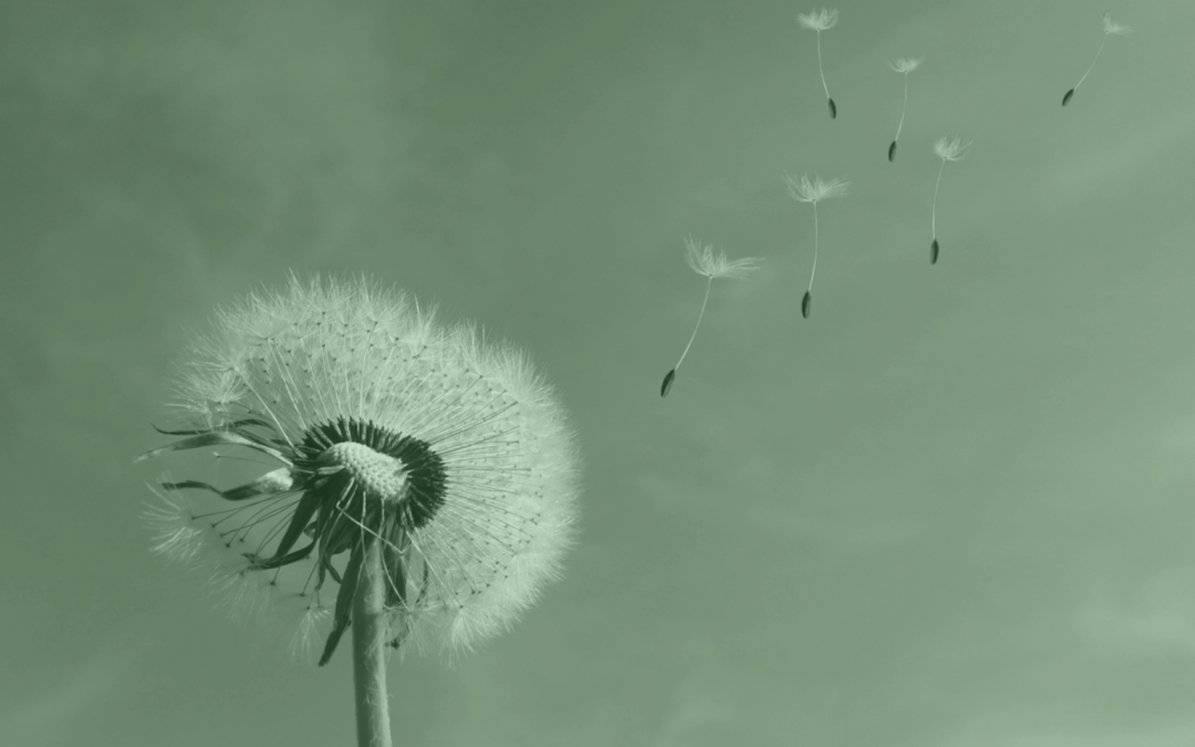El ressorgiment espiritual