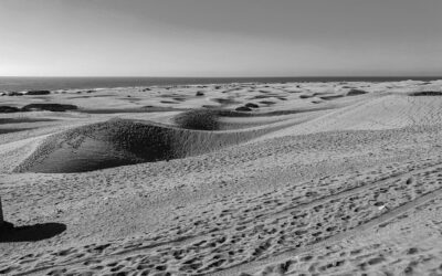 Crece en silencio