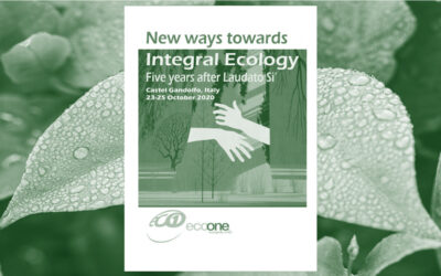 Nuevas vías hacia la ecología integral