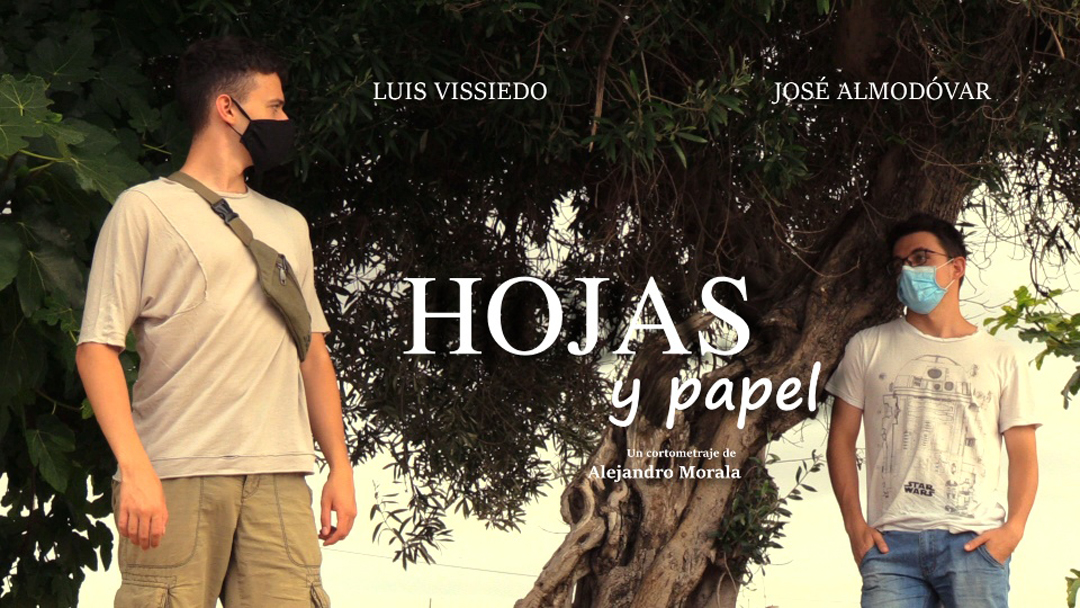 Hojas y papel