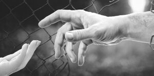 Dret_Humanitat