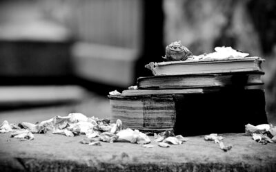 Leer para vivir