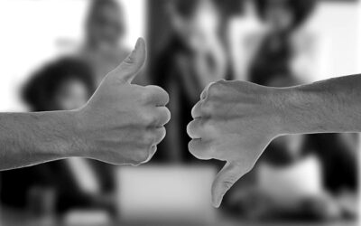 Convivencia (1/3): El arte de polarizar