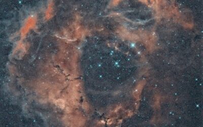¿Génesis vs ciencia? (y 2)
