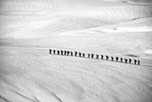 Temps