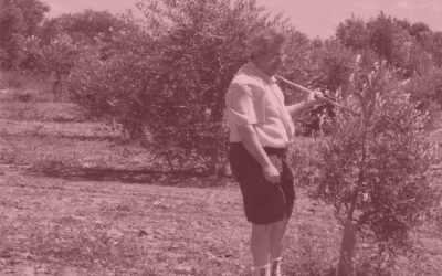 Del aceite de oliva a los pistachos